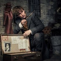 Fantastic Beasts: The Crimes of Grindelwald