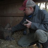 Foto de 'The Biggest Little Farm'