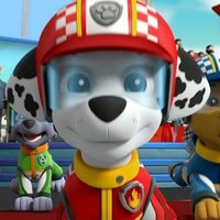 Paw Patrol: Ready, Race, Rescue!