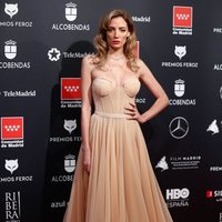 María Hervás at the Feroz Awards 2020 red carpet