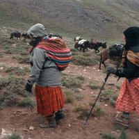 Foto de 'Cholitas'