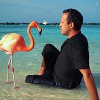 The Mystery of the Pink Flamingo