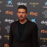 Antonio Banderas at the red carpet of the 35th edition of the Goya Awards