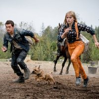 Foto de 'Chaos Walking'