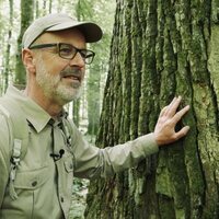 The Hidden Life of Trees