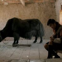 Lunana: A Yak in the Classroom