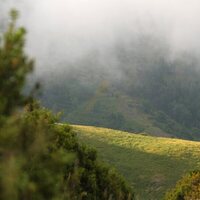 Foto de 'Entre montañas'