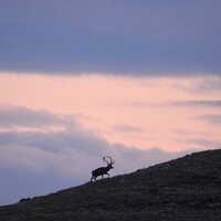 Foto de 'Entre montañas'