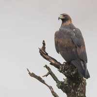 Foto de 'Iberia, naturaleza infinita'