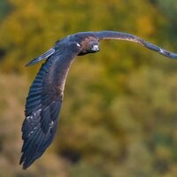 Foto de 'Iberia, naturaleza infinita'