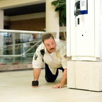 Foto de 'Paul Blart: Mall Cop'