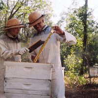 Foto de 'The secret life of bees'