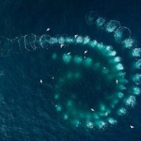 Foto de 'Les gardiennes de la planète'