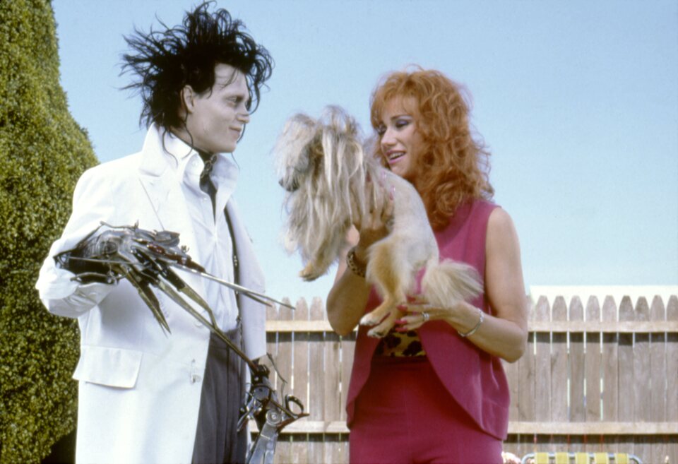 Imagen de la película Edward Scissorhands