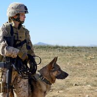 Megan Leavey