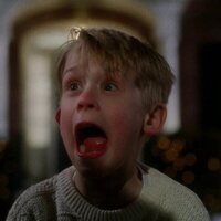 Foto de 'Home Alone'