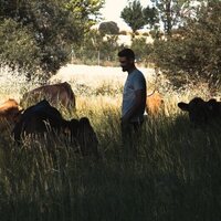 Ganado o desierto