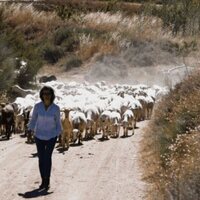 Ganado o desierto