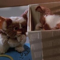 Foto de 'Gremlins'