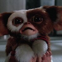 Foto de 'Gremlins 2: The New Batch'