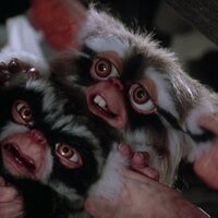 Foto de 'Gremlins 2: The New Batch'