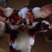 Foto de 'Gremlins 2: The New Batch'