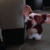 Foto de 'Gremlins 2: The New Batch'