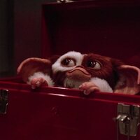 Foto de 'Gremlins 2: The New Batch'