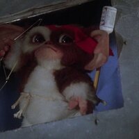 Foto de 'Gremlins 2: The New Batch'