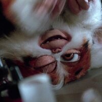 Foto de 'Gremlins 2: The New Batch'