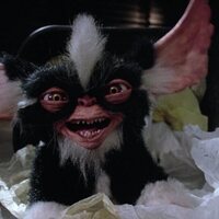 Foto de 'Gremlins 2: The New Batch'