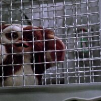 Foto de 'Gremlins 2: The New Batch'