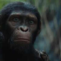 Foto de 'Kingdom of the Planet of the Apes'