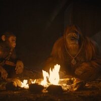 Foto de 'Kingdom of the Planet of the Apes'