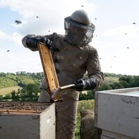 The Beekeeper