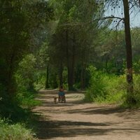 Foto de 'Los pequeños amores'