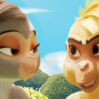 Foto de 'Shimmy: The First Monkey King'