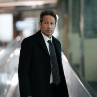 Foto de 'David Duchovny'