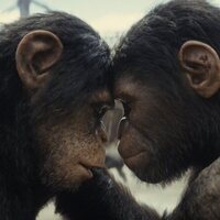 Foto de 'Kingdom of the Planet of the Apes'