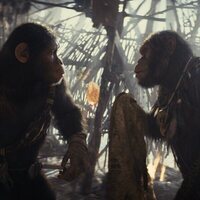 Foto de 'Kingdom of the Planet of the Apes'