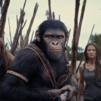 Foto de 'Kingdom of the Planet of the Apes'