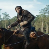 Foto de 'Kingdom of the Planet of the Apes'