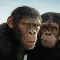 Foto de 'Kingdom of the Planet of the Apes'