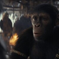 Kingdom of the Planet of the Apes