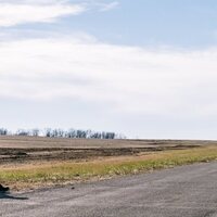 The Bikeriders