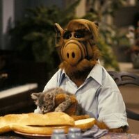 Foto de 'Alf'