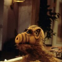 Foto de 'Alf'