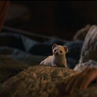 Foto de 'His Dark Materials'