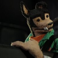 Buddy Thunderstruck