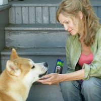 Foto de 'Hachiko: A Dog's Story'